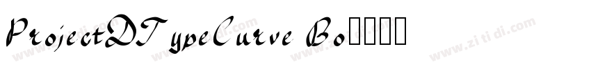 ProjectDTypeCurve Bo字体转换